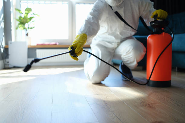 Trusted Sewage Cleanup service in Bradford, OH - Four Month Blood Cleanse